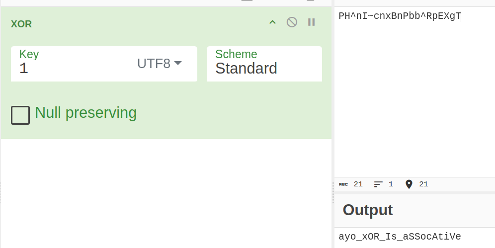Screenshot: we try to xor our encrypted flag with 1 or 1111111