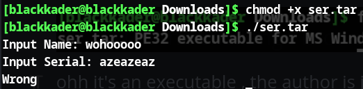Screenshot: ohh it's an executable , the author is just playing games with us , lets add the execution permission and try…