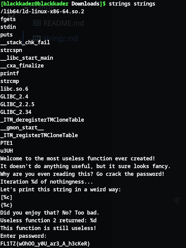 Screenshot: If you had typed the name of the binary twice (with a space in between), you would have gotten the flag xD