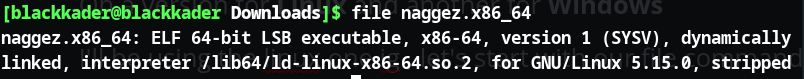 Screenshot: I'll be using the linux one ig , let's start with our file command