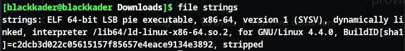 Screenshot: The first we usually use while reverse engineering is the file command